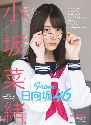 免费91网站